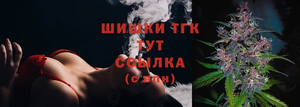 МДПВ Богородицк
