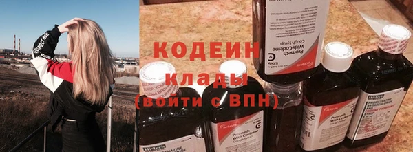 шишки Богданович