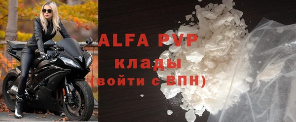 шишки Богданович