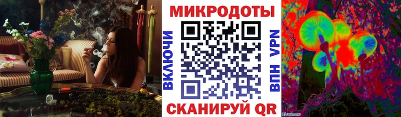 Галлюциногенные грибы Cubensis  хочу наркоту  Киров 